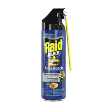 Load image into Gallery viewer, Raid Max Ant and Roach Spray (14.5 OZ,Pack -12)