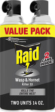 Load image into Gallery viewer, Raid Wasp & Hornet Killer Spray, Kills the entire nest, Kills Paper Wasps, Yellow Jackets, Mud Daubers and more, 14 oz (Pack of 2)