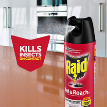 Load image into Gallery viewer, Raid Ant &amp; Roach Killer Spray For Listed Bugs, Keeps Killing for Weeks, Fresh Scent, 17.5 oz
