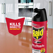 Load image into Gallery viewer, Raid Ant & Roach Killer Spray for Listed Bugs, Insect, Spider, For Indoor Use, Fresh Scent, 12 Oz, Pack of 12