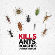 Load image into Gallery viewer, Raid Ant & Roach Killer Spray For Listed Bugs, Keeps Killing for Weeks, Fresh Scent, 17.5 oz