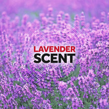 Load image into Gallery viewer, Raid Ant & Roach Killer Spray For Listed Bugs, Keeps Killing for Weeks, Lavender Scent, 17.5 oz