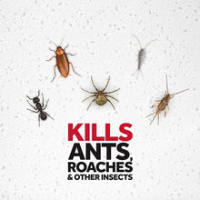 Load image into Gallery viewer, Raid Max Ant and Roach Spray (14.5 OZ,Pack -12)