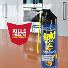 Load image into Gallery viewer, Raid Max Ant and Roach Spray (14.5 OZ,Pack -12)