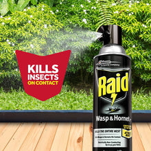 Load image into Gallery viewer, Raid Wasp & Hornet Killer Spray, Kills the entire nest, Kills Paper Wasps, Yellow Jackets, Mud Daubers and more, 14 oz (Pack of 2)