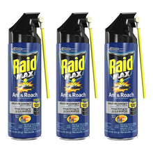 Load image into Gallery viewer, Raid Max Ant and Roach Spray (14.5 Ounce (Pack of 3))