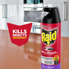 Load image into Gallery viewer, Raid Ant &amp; Roach Killer Spray For Listed Bugs, Keeps Killing for Weeks, Lavender Scent, 17.5 oz
